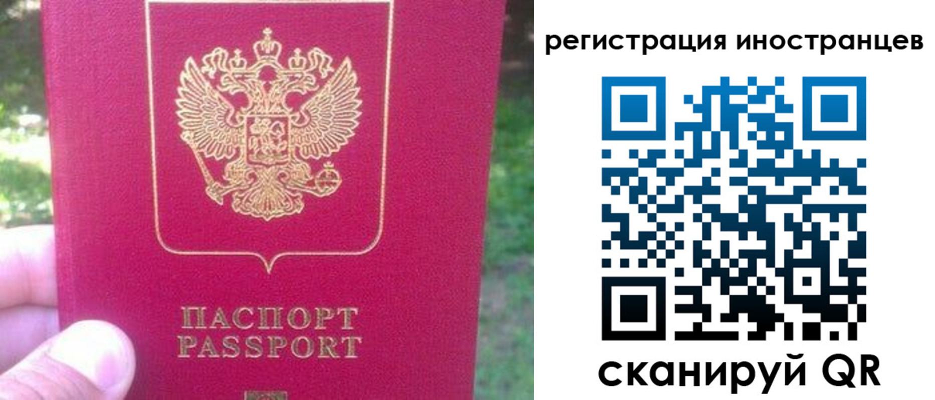 временная регистрация законно в Братске